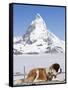 St. Bernard Dog and Matterhorn From Atop Gornergrat, Switzerland, Europe-Michael DeFreitas-Framed Stretched Canvas