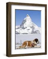 St. Bernard Dog and Matterhorn From Atop Gornergrat, Switzerland, Europe-Michael DeFreitas-Framed Photographic Print