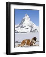 St. Bernard Dog and Matterhorn From Atop Gornergrat, Switzerland, Europe-Michael DeFreitas-Framed Photographic Print