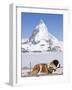 St. Bernard Dog and Matterhorn From Atop Gornergrat, Switzerland, Europe-Michael DeFreitas-Framed Photographic Print