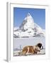 St. Bernard Dog and Matterhorn From Atop Gornergrat, Switzerland, Europe-Michael DeFreitas-Framed Photographic Print