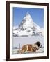 St. Bernard Dog and Matterhorn From Atop Gornergrat, Switzerland, Europe-Michael DeFreitas-Framed Photographic Print