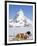 St. Bernard Dog and Matterhorn From Atop Gornergrat, Switzerland, Europe-Michael DeFreitas-Framed Photographic Print