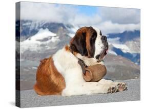 St. Bernard Dog with Keg Ready for Rescue Operation-swisshippo-Stretched Canvas