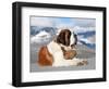 St. Bernard Dog with Keg Ready for Rescue Operation-swisshippo-Framed Photographic Print