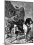 St Bernard Mountain Rescue Dogs with Flasks of Brandy on their Collars, C1880-null-Mounted Giclee Print