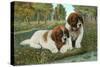 St. Bernard Puppies-null-Stretched Canvas