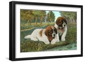 St. Bernard Puppies-null-Framed Art Print