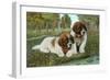 St. Bernard Puppies-null-Framed Art Print