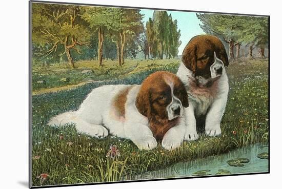 St. Bernard Puppies-null-Mounted Art Print