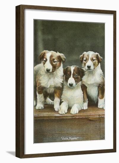 St. Bernard Puppies-null-Framed Art Print