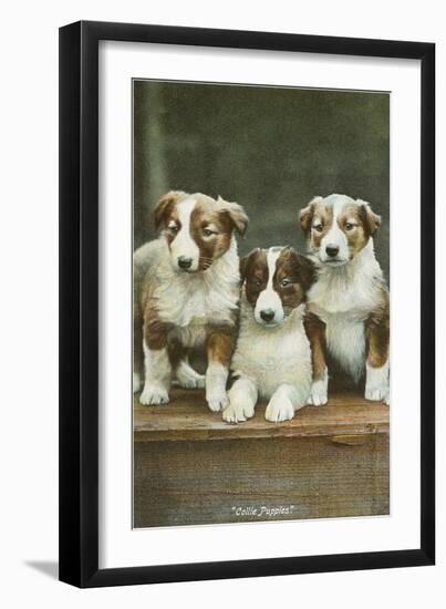 St. Bernard Puppies-null-Framed Art Print