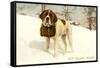 St. Bernard with Keg in Snow, Sun Valley, Idaho-null-Framed Stretched Canvas