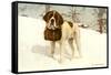 St. Bernard with Rescue Keg-null-Framed Stretched Canvas