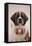 St. Bernard-DLILLC-Framed Stretched Canvas