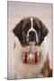 St. Bernard-DLILLC-Mounted Premium Photographic Print