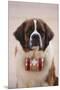 St. Bernard-DLILLC-Mounted Premium Photographic Print