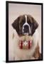 St. Bernard-DLILLC-Framed Premium Photographic Print