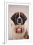 St. Bernard-DLILLC-Framed Photographic Print