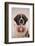 St. Bernard-DLILLC-Framed Photographic Print