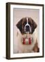 St. Bernard-DLILLC-Framed Photographic Print