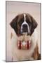 St. Bernard-DLILLC-Mounted Photographic Print