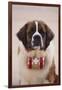 St. Bernard-DLILLC-Framed Photographic Print