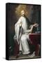 St Bernard-Miguel Cabrera-Framed Stretched Canvas