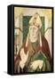 St Bonaventure-Girolamo da Treviso il Vecchio-Framed Stretched Canvas