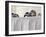 St. Brigida Nuns Attend Pope Benedict XVI's General Audience in St. Peter's Square at the Vatican-null-Framed Photographic Print