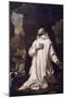 St Bruno Praying in Desert, by Nicolas Mignard-null-Mounted Giclee Print