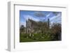 St. Canice's Cathedral, Kilkenny, County Kilkenny, Leinster, Republic of Ireland, Europe-Carsten Krieger-Framed Photographic Print