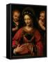 St. Catherine, 1527-31-Bernardino Luini-Framed Stretched Canvas