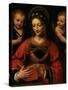 St. Catherine, 1527-31-Bernardino Luini-Stretched Canvas