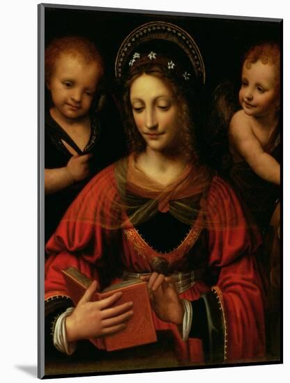 St. Catherine, 1527-31-Bernardino Luini-Mounted Giclee Print