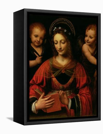 St. Catherine, 1527-31-Bernardino Luini-Framed Stretched Canvas