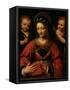 St. Catherine, 1527-31-Bernardino Luini-Framed Stretched Canvas