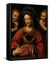 St. Catherine, 1527-31-Bernardino Luini-Framed Stretched Canvas