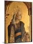 St. Catherine, Detail from the Santa Lucia Triptych-Carlo Crivelli-Mounted Giclee Print