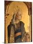 St. Catherine, Detail from the Santa Lucia Triptych-Carlo Crivelli-Mounted Giclee Print