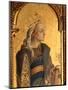 St. Catherine, Detail from the Santa Lucia Triptych-Carlo Crivelli-Mounted Giclee Print