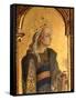 St. Catherine, Detail from the Santa Lucia Triptych-Carlo Crivelli-Framed Stretched Canvas