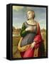 St. Catherine of Alexandria, 1507-8-Raphael-Framed Stretched Canvas