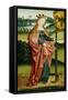 St Catherine of Alexandria, C1500-null-Framed Stretched Canvas