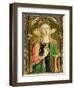 St. Catherine of Alexandria, Detail of the Sant'Emidio Polyptych, 1473-Carlo Crivelli-Framed Giclee Print