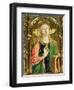 St. Catherine of Alexandria, Detail of the Sant'Emidio Polyptych, 1473-Carlo Crivelli-Framed Giclee Print