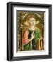 St. Catherine of Alexandria, Detail of the Sant'Emidio Polyptych, 1473-Carlo Crivelli-Framed Giclee Print