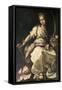 St. Catherine of Alexandria-Bernardo Strozzi-Framed Stretched Canvas