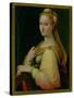 St. Catherine of Alexandria-Barbara Longhi-Stretched Canvas