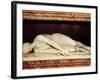 St Cecilia-null-Framed Photographic Print